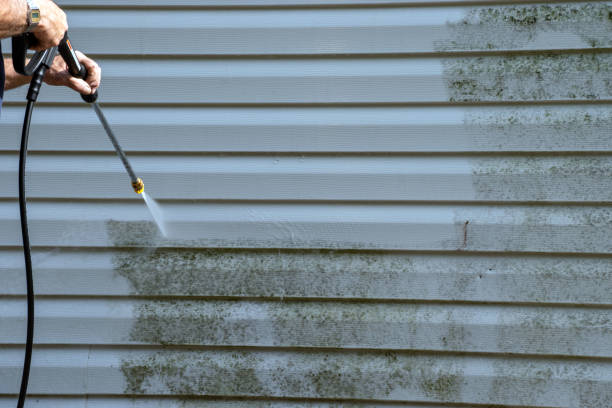 Best Appliance Removal  in Winchester, OH